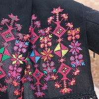 Black Embroidered Shawl: Multicolor