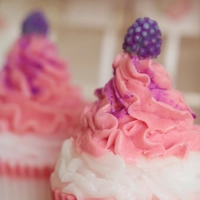 Cupcake Shaped Soap Set of Two