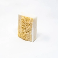 Glycerin Soap With Natural Loofah - Multiple Scents - Mango