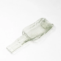 Recycled Glass Concave Serving Dish - Transparent 