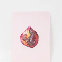 Pink Pomegranate Postcard