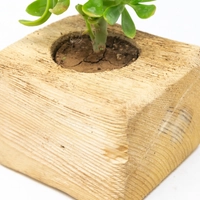 آنية نبات خشبية على شكل مربع