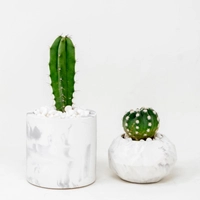 Set of Two Concrete Plant Pots in White
