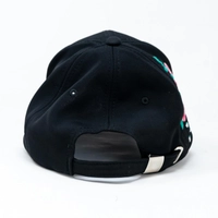 Black Embroidered Cap - Colorful Floral Embroidery