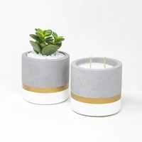 Cylindrical Concrete Set Of Candle and Plant Pot - White & Gold