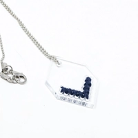 Silver Embroidered Necklace - Two Color Options - Blue