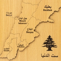 ديكور حائط خشب - خريطة لبنان