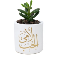 Cement Plant Pot - White & Gold