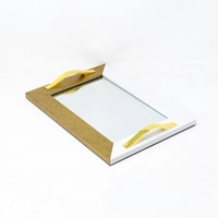 Mirror Tray with Colored Frame - Multicolors - Gold & White