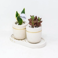 Two Cement Plant Pot with a Holder - Set 2