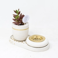 white Cement Tray Decor with Incense Burner and Plant Decor - Set 2