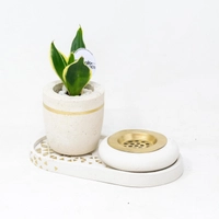 white Cement Tray Decor with Incense Burner and Plant Decor - Set 2