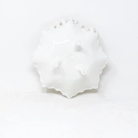 Floral White Ceramic Serving Plate