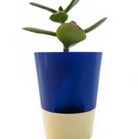 3D Printed Conical Plant Pot - Multiple Designs - Navy Blue