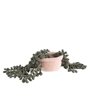 Crochet Potted Plant 