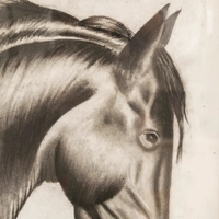 Charcoal Horse Painting