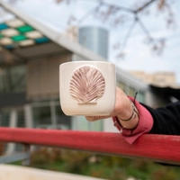 Handmade White Clay Mug with a 3D Sea Shell Design