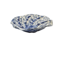 Blue Seashell Plate