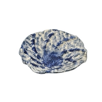 Blue Seashell Plate