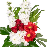 Red and White Natural Bouquet of Flowers