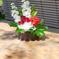 Red and White Natural Bouquet of Flowers