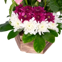 Elegant Flower Bouquet - Pink and White Flowers