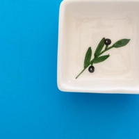 White Square Ceramic Dish for Serving Nuts - Decorated with A Hand-Drawn Olive Branch