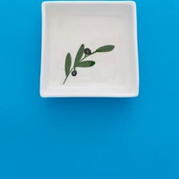 White Deep Square Ceramic Plate for Serving Appetizers