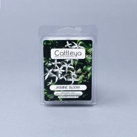 Jasmine Bloom Melts: Scented Candle Cubes for a Long Lasting Scent