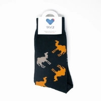 Camels Socks - Navy Socks For Men 