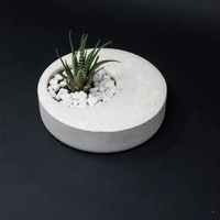 Indoor Ornamental Concrete White Round Plant Pot - Aloe Vera