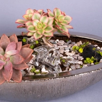 Fairy Garden: Decorative Plant Pot with Stones and Plantings - Miniature Garden