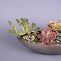 Fairy Garden: Decorative Plant Pot with Stones and Plantings - Miniature Garden