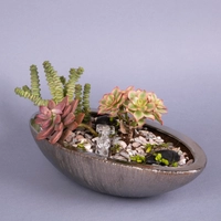 Fairy Garden: Decorative Plant Pot with Stones and Plantings - Miniature Garden