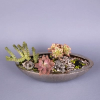 Fairy Garden: Decorative Plant Pot with Stones and Plantings - Miniature Garden