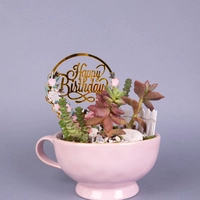 Special Birthday Gift: Pink Plant Pot with Fairy Garden Figure and Birthday Card