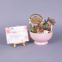 Special Birthday Gift: Pink Plant Pot with Fairy Garden Figure and Birthday Card