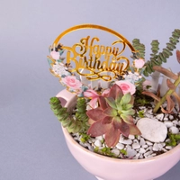 Special Birthday Gift: Pink Plant Pot with Fairy Garden Figure and Birthday Card