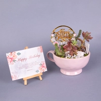 Special Birthday Gift: Pink Plant Pot with Fairy Garden Figure and Birthday Card