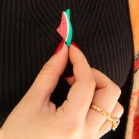 Pin Watermelon Brooch Shaped as Palestine Map!