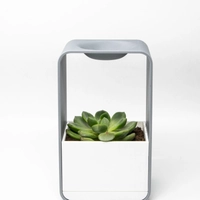 Modern Elegant Plant Stand - Luxurious Home Decor