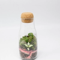 Elegant Mini Terrarium - Handmade Glass Garden