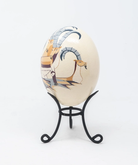Ostrich Egg: Ibex in the Mountains