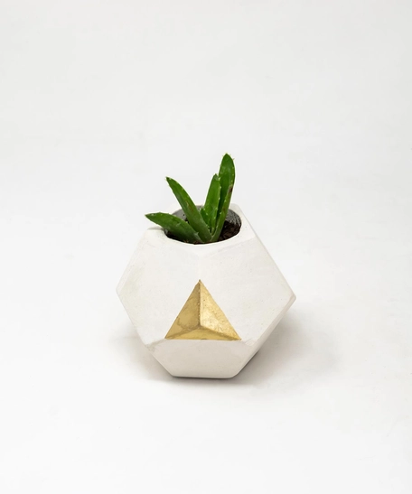 Geometric Concrete Plant Pot in White and Gold