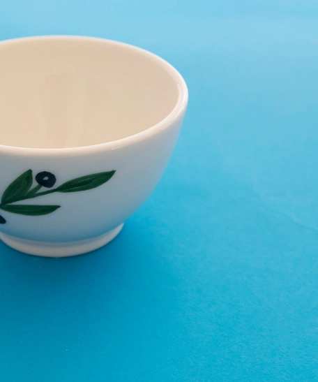 White Ceramic Bowl Decorated with an Olive Branch
