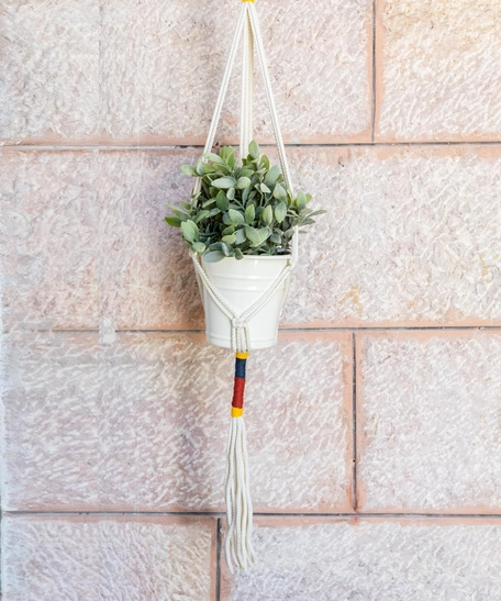 Three Ropes and Single Hanger Knotted Macrame Plant Hanger