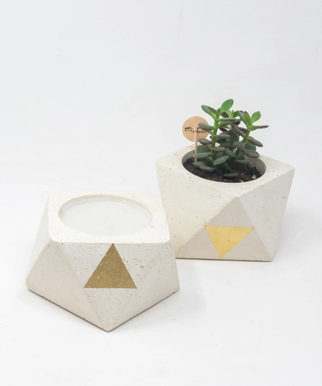 Gilded Candle Holder and Plant Pot Set 