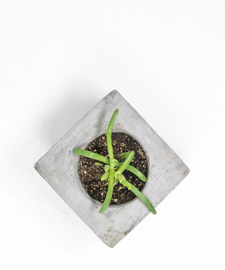 آنية نباتات اسمنتية مربعة الشكل