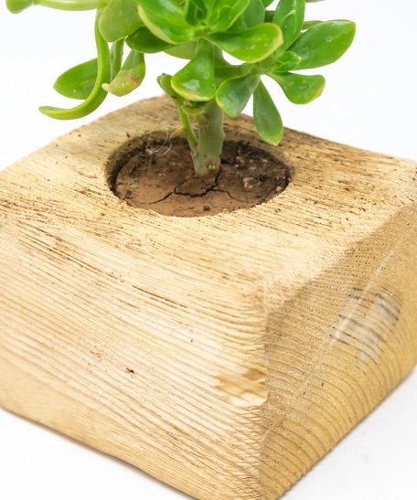 آنية نبات خشبية على شكل مربع