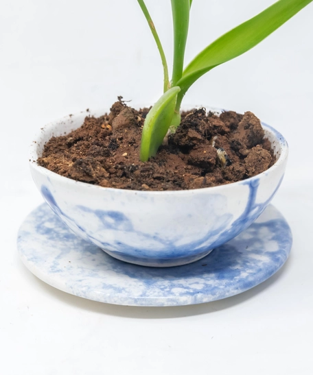 Blue and White Ceramic Plant Pot with Plate